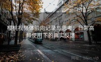 樱桃视频体验向记录与思考：日常高频使用下的真实反馈
