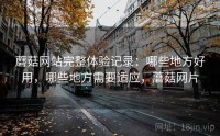 蘑菇网站完整体验记录：哪些地方好用，哪些地方需要适应，蘑菇网片