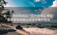 第一次用白虎网站一区时的真实感受：整体使用氛围与浏览节奏的感受