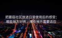 把蘑菇社区放进日常使用后的感受：哪些地方好用，哪些地方需要适应