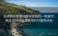 白虎图片使用过程中发现的一些细节：稳定访问与日常使用的可靠性评估