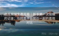 白虎视频免费观看｜新手第一次接触的记录：与同类平台放在一起的直观对比