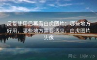 反复使用后再看白虎图片：哪些地方好用，哪些地方需要适应，白虎图片头像
