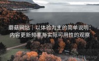 蘑菇网站｜以体验为主的简单说明：内容更新频率与实际可用性的观察