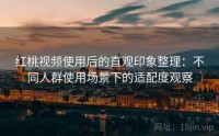 红桃视频使用后的直观印象整理：不同人群使用场景下的适配度观察