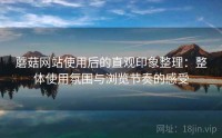 蘑菇网站使用后的直观印象整理：整体使用氛围与浏览节奏的感受