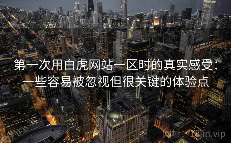 第一次用白虎网站一区时的真实感受：一些容易被忽视但很关键的体验点