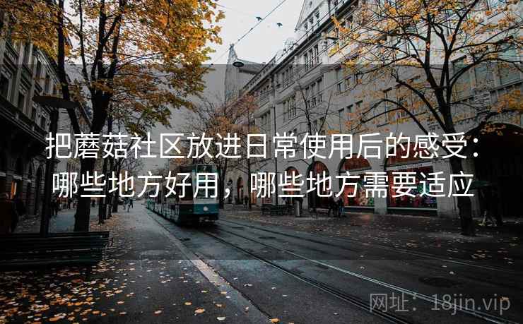 把蘑菇社区放进日常使用后的感受：哪些地方好用，哪些地方需要适应