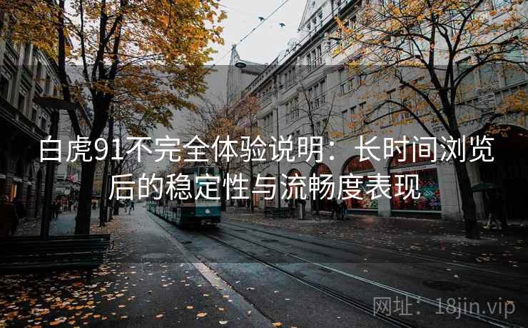 白虎91不完全体验说明：长时间浏览后的稳定性与流畅度表现