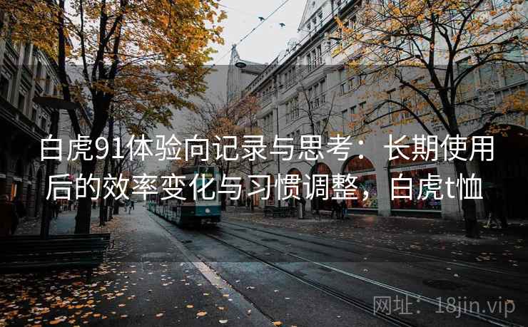 白虎91体验向记录与思考：长期使用后的效率变化与习惯调整，白虎t恤