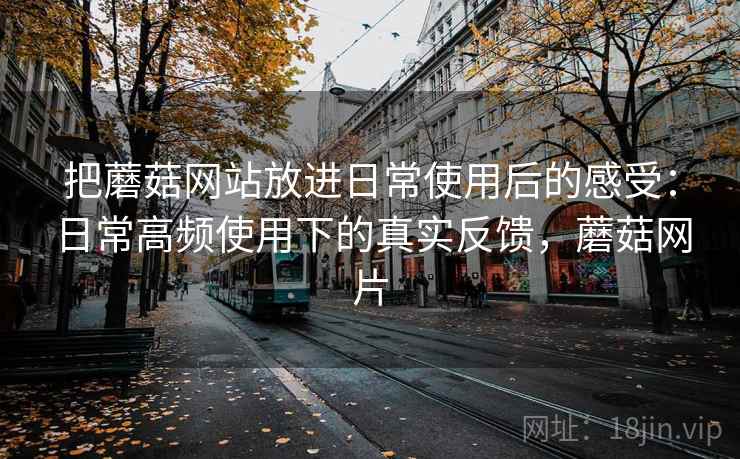 把蘑菇网站放进日常使用后的感受：日常高频使用下的真实反馈，蘑菇网片