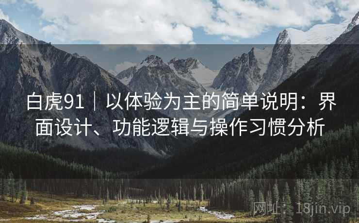 白虎91|以体验为主的简单说明:界面设计、功能逻辑与操作习惯分析 白虎91|以体验为主的简单说明:界面设计、功能逻辑与操作习惯分析