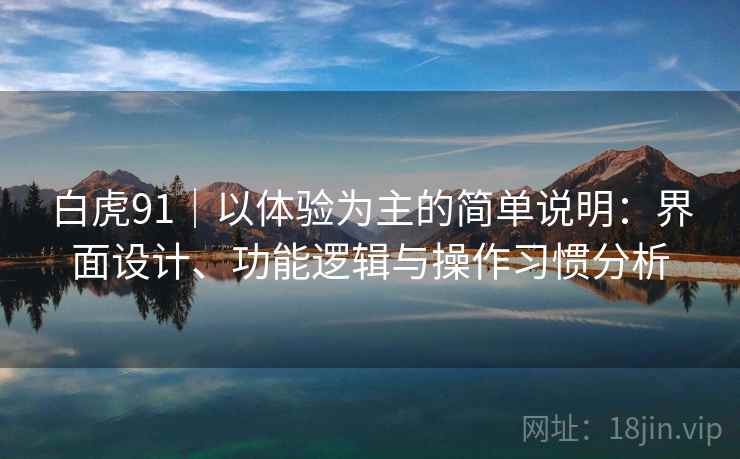 白虎91|以体验为主的简单说明:界面设计、功能逻辑与操作习惯分析 白虎91|以体验为主的简单说明:界面设计、功能逻辑与操作习惯分析