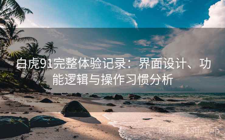 白虎91完整体验记录：界面设计、功能逻辑与操作习惯分析