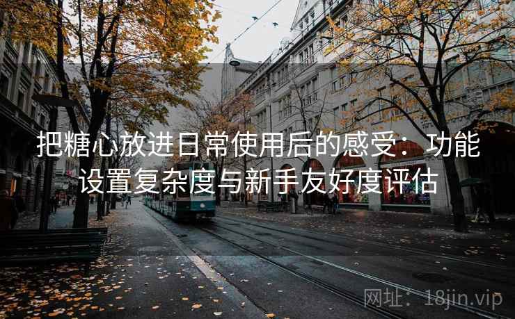 把糖心放进日常使用后的感受:功能设置复杂度与新手友好度评估 把糖心放进日常使用后的感受:功能设置复杂度与新手友好度评估