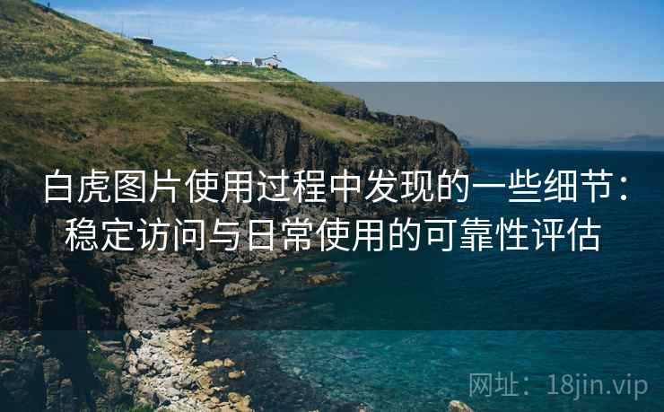 白虎图片使用过程中发现的一些细节:稳定访问与日常使用的可靠性评估 白虎图片使用过程中发现的一些细节:稳定访问与日常使用的可靠性评估
