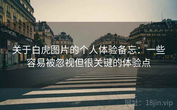 关于白虎图片的个人体验备忘:一些容易被忽视但很关键的体验点 关于白虎图片的个人体验备忘:一些容易被忽视但很关键的体验点