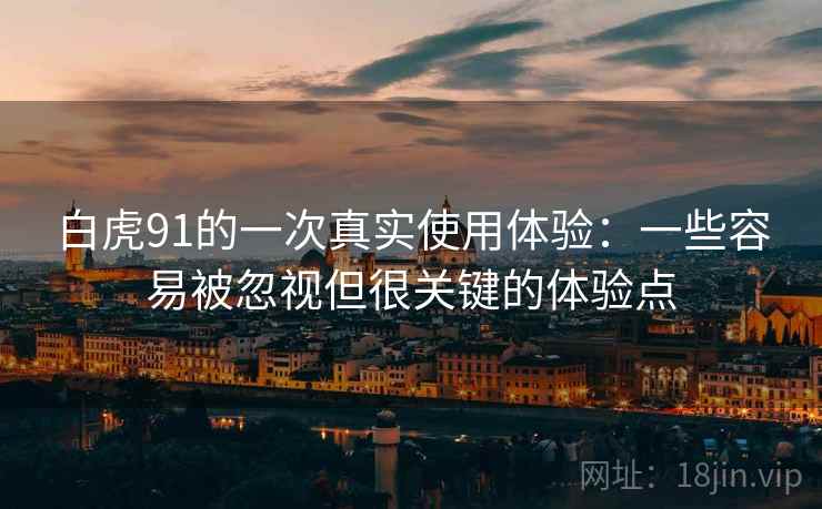白虎91的一次真实使用体验:一些容易被忽视但很关键的体验点 白虎91的一次真实使用体验:一些容易被忽视但很关键的体验点