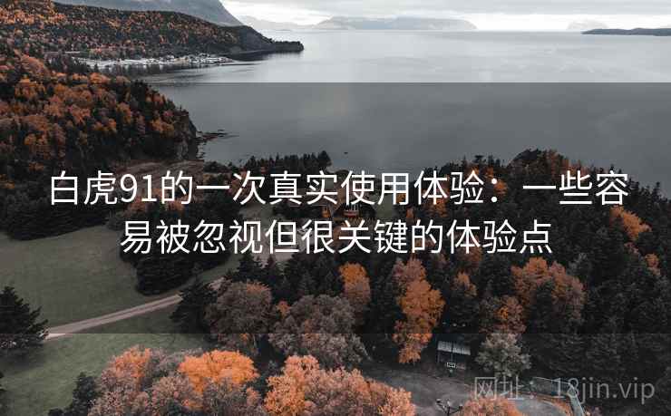 白虎91的一次真实使用体验:一些容易被忽视但很关键的体验点 白虎91的一次真实使用体验:一些容易被忽视但很关键的体验点