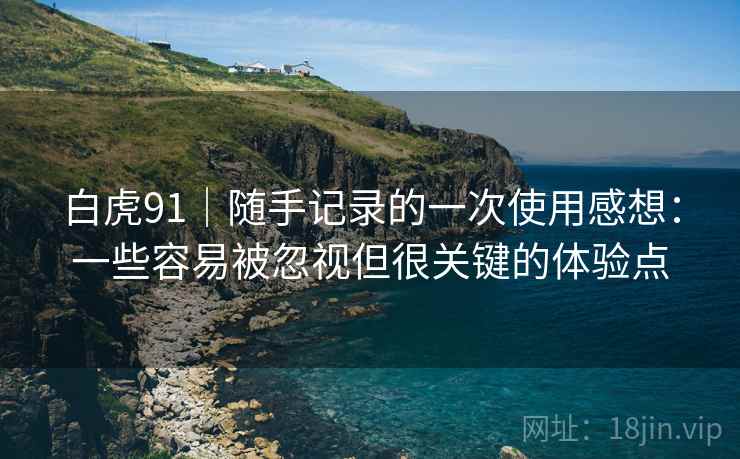 白虎91|随手记录的一次使用感想:一些容易被忽视但很关键的体验点 白虎91|随手记录的一次使用感想:一些容易被忽视但很关键的体验点
